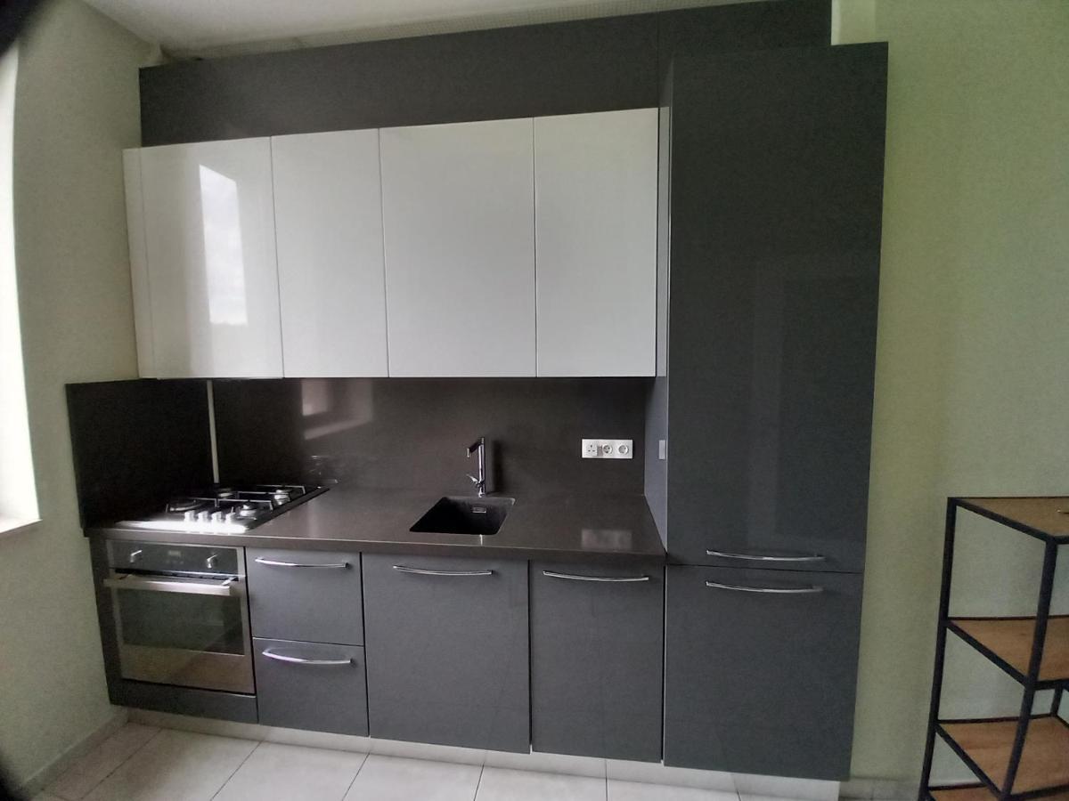 Herastrau Apartment ブカレスト エクステリア 写真