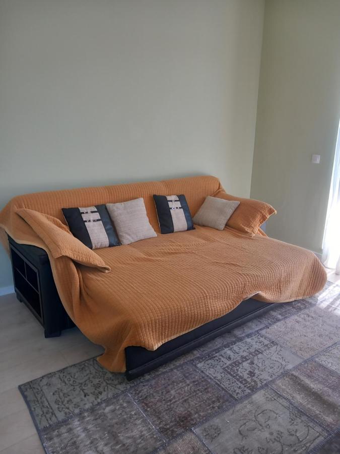 Herastrau Apartment ブカレスト エクステリア 写真