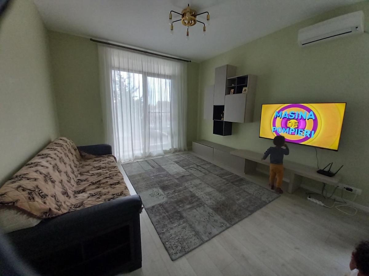 Herastrau Apartment ブカレスト エクステリア 写真